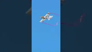 Rare Bear F8F RC Warbird Aerobatic/3D flight#rcairplane #rcplane #rcaircraft #aerobatics #warbird