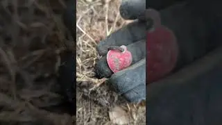 First Target was Love Metal Detecting! #corythetreasurehunter #metaldetecting #treasure
