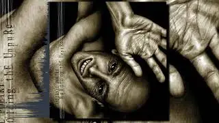 Infernal Poetry - Beholding The Unpure (Full Album)