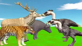 Group Bull Deer Tiger VS Group Terror Bird || Animal Battle Simulator