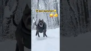 У кого запоры? 😜 #funny #смешновидео #юмор #смешнойшортс #shortvideo #шуточное #memes #catchy #fun