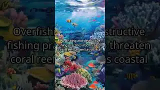 What are the main threats to coral reef ecosystems?