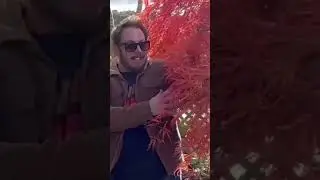 Massive Gay In A Japanese Garden