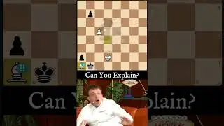 When Ba1 Is So Brilliant Even Hans Can&rsquo;t Stay Calm!😂🔥 #chess #chesspuzzle #brilliantmove #shorts