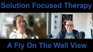 Solution Focused Therapy - A Fly On The Wall View