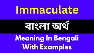 Immaculate meaning in bengali/Immaculate শব্দের বাংলা ভাষায় অর্থ অথবা মানে কি