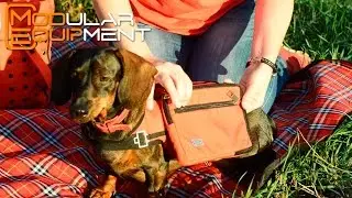 Picnic with Modular Equipment