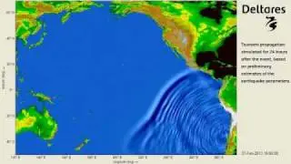 Animation Tsunami Chile - Earthquake 27th February 2010