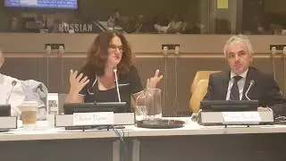 How can we implement the abolition of forced psychiatric interventions?  Panel discussion part 6