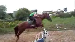 Jess & ginger, Chloe & Polly