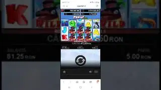 Penguin Style- BIG WIN🤑
