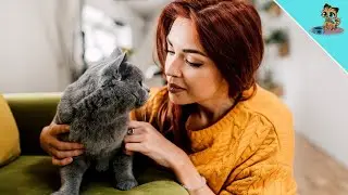 THAT is how a cat recognizes WHO is in front of her!