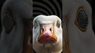 The Hypnotic Goose is my Wife #creepy #goose #wisdom #wisdomquotes #arg