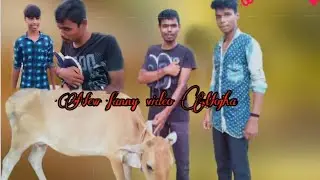 Badaima hojai assam funny video 2021