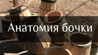 Barrel anatomy | Bondarnaya Lavka