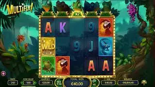 Multifly Bonus Big Win