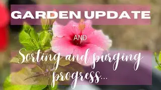Garden Update & Sorting and Purging Progress