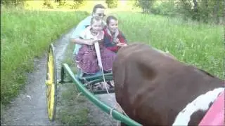 With Grandma, by Ox Cart