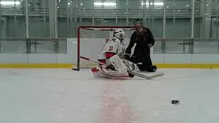 Tanner McBride sting Pewee aa
