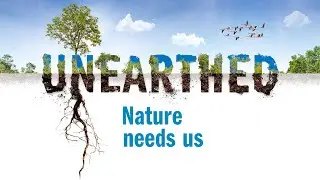 Why do we save seeds?