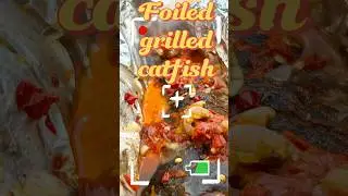 Foiled catfish grilled by the roadside. #food #foodie #viral #fyp #eatfish #fisheveryday #spicyfish