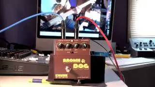 Bass Fuzz Overview : Chunk Systems Brown Dog