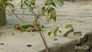 #.... Connect with nature