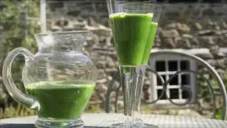 The Raw Retreat