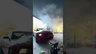 Cummins mustang cold start #12valvecummins #cumminswap #automobile #s197mustang #cumminspower