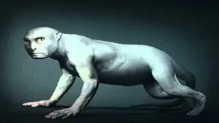 Origin by Daniel Lee/李小鏡【源】Evolution from Coelacanth Fish to Man. Darwin.