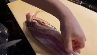 How to cut a sea robin