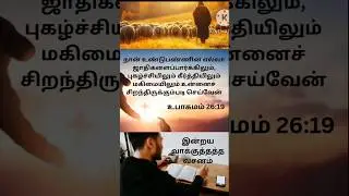 Today Promise Verse :: 2/8/25 #tamil#bible#verse#jesus#today#daily#berchmans_songs#preachingtruth#gk