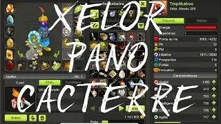 [DOFUS TOUCH] Un Xelor en CACTERRE ?!