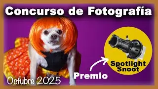 Concurso de Fotograf&iacute;a - Gana Spotlight Snoot para Fotograf&iacute;a y Video