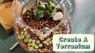 Planting A Cute String Of Turtles Terranium With A Small Propagation I Had Left 🐢 🐢