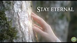 A Night in Lothlórien: Journey Through the Golden Forest of Eternity | Cinematic