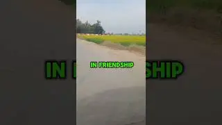 Deep Trust in Friendship: The Bond That Never Breaks