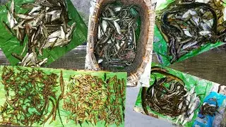 Naga Traditional Fishing -2 || Best Fishing Technique ||Lockdown Stories| Lozaphuhu| Veps Rhakho