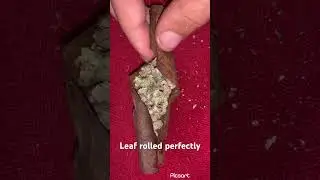 Showing You how to roll a Game Leaf  Leaf wrap Wildberry pearl