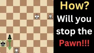 Most people can't solve this chess puzzle, Can you?????