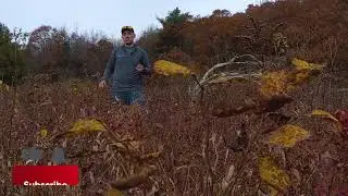 The Magic of Nature: Clarity, Creativity & Awe in the Woods | WanderBound (2019)