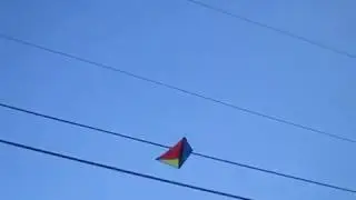 There's A Kids Kite On The Live 7.2kV On The Street Across From.