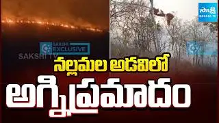 Massive Forest Fire Breaks Out in Nallamala Amrabad Range |@SakshiTV