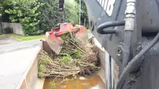 SRL GRAB AND PLANT HIRE Hedge removal take 2