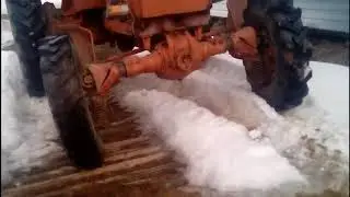 Пробуждение медведя после спячки!
