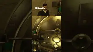 Vault Guard Missing! Plant them on Both Sides!