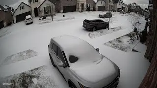 Winter Storm in Dallas and dogs are enjoying the snow!