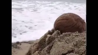 I am the sand guardian VINE
