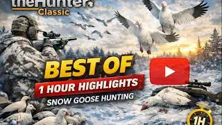 19-Minute BEST OF Snow Goose Hunt | Highlights from a 1-Hour Live &ndash; theHunter Classic