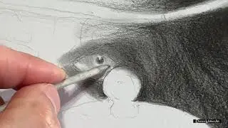 How To Draw With Graphite Pencil Mad Hatter's Tea Party (Part 5: Eyes in Shadow)
